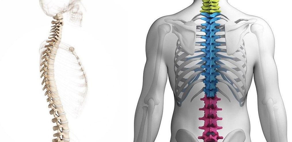 lesion an spine thoracach le osteochondrosis